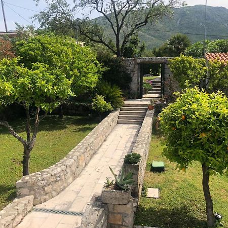 Charming Apartment For 3 Pax In Cavtat Eksteriør billede