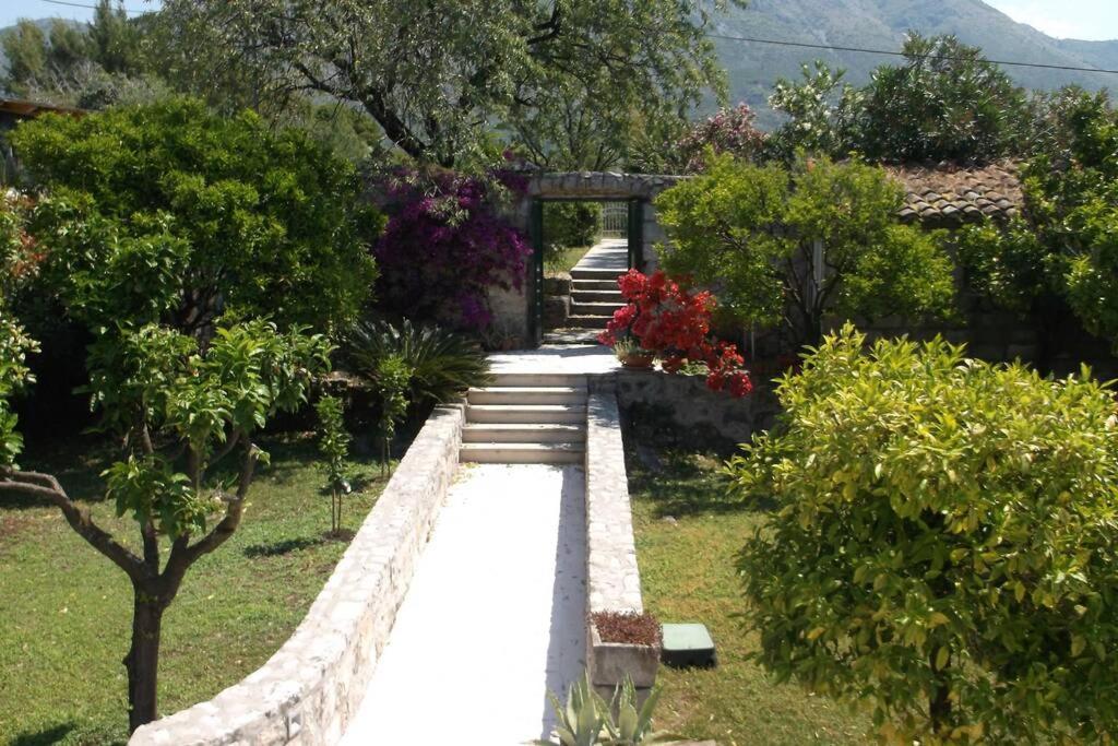 Charming Apartment For 3 Pax In Cavtat Eksteriør billede
