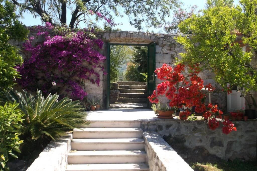 Charming Apartment For 3 Pax In Cavtat Eksteriør billede