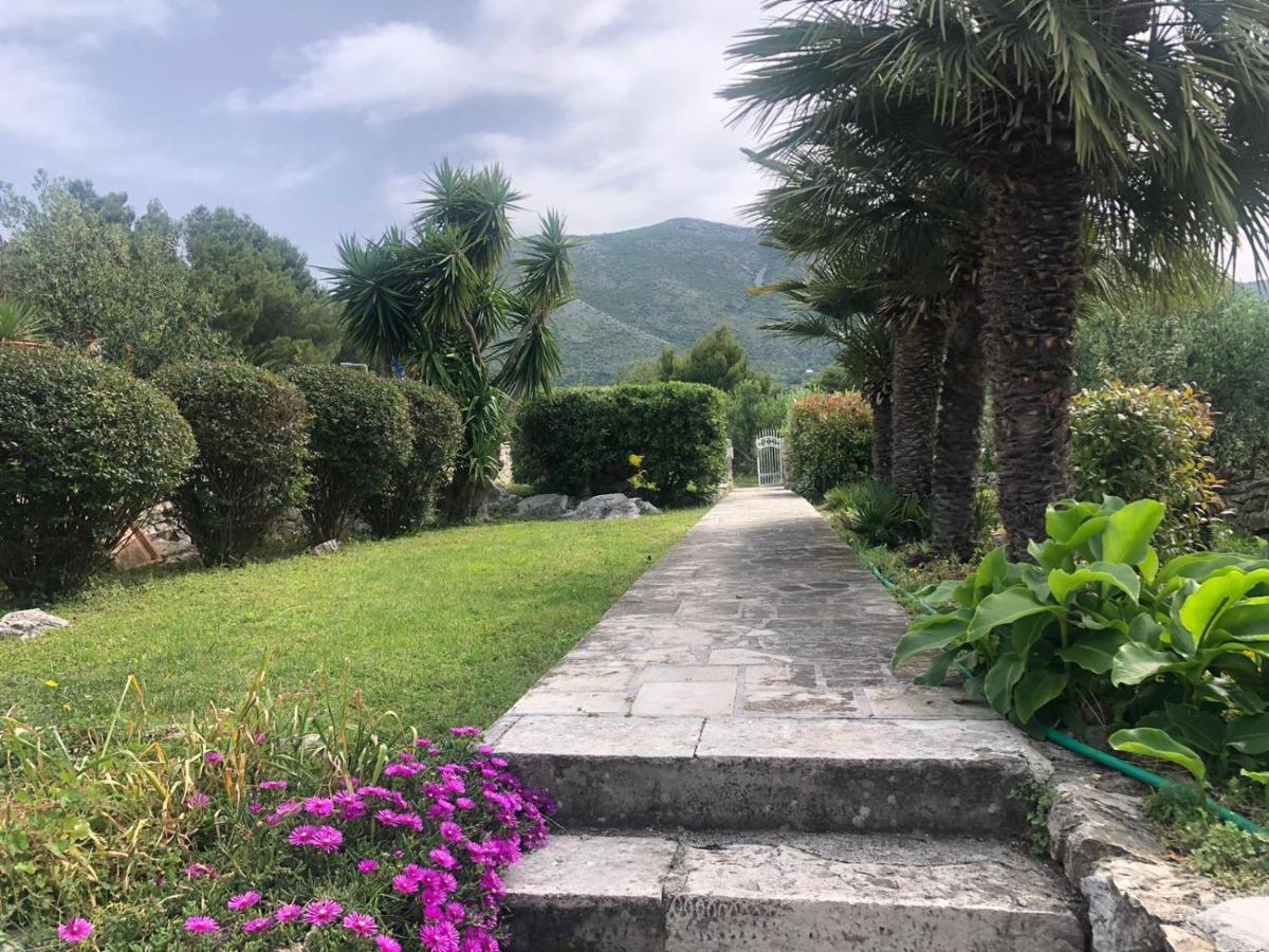 Charming Apartment For 3 Pax In Cavtat Eksteriør billede